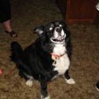 Bo likes birthdays, too